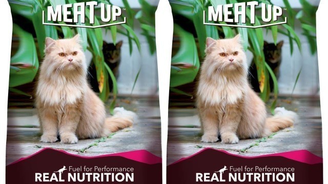 'Meat Up Cat Food Review'