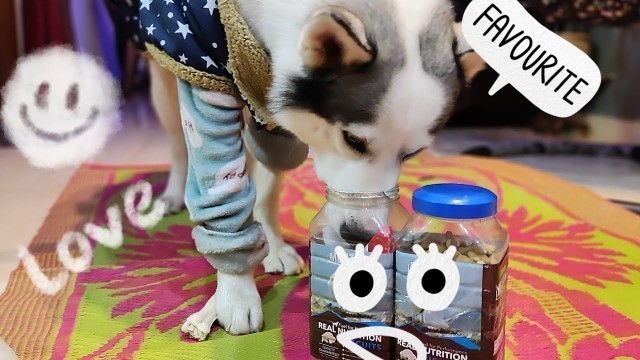 'Meat up dog food review | Best and cheap treat | lifestyle | Husky'