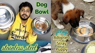 'Meat Up Stainless Steel Dog Feeding Bowl, Medium - 700ml | Dog bowl for my adopted puppy'