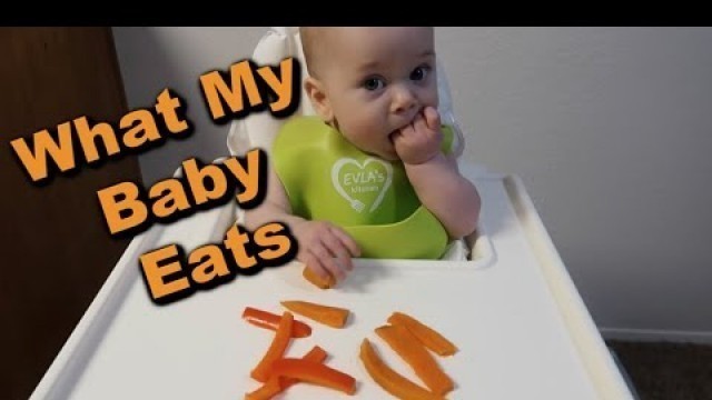 'What My Baby Ate This Week! 6 Months Old & BLW'