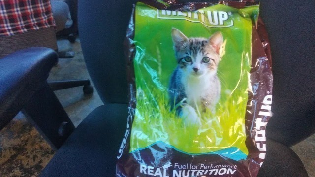 'Unboxing Meat Up Kitten(1-12 months) Dry Cat Food, Ocean Fish, 1.2kg (Buy 1 Get 1 Free)'