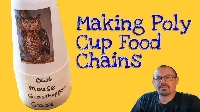 'Using Polystyrene Cups to make Food Chains : Idea for Teachers'