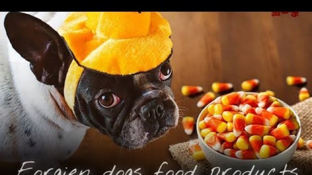 'Forgien dogs food chart | Royal canin | pedigree | drools | purepet | meat up | Tamil | Pets Mall 