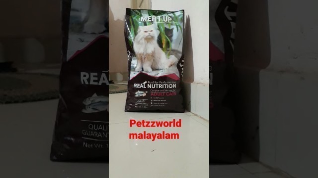 'meatup cat food review uploaded at tomorrow'