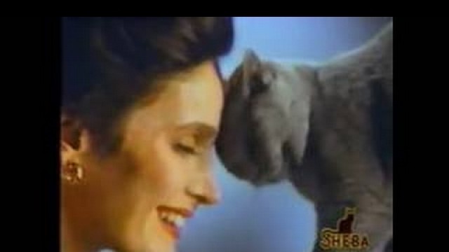 'Sheba Cat Food Television Commercial 1991'