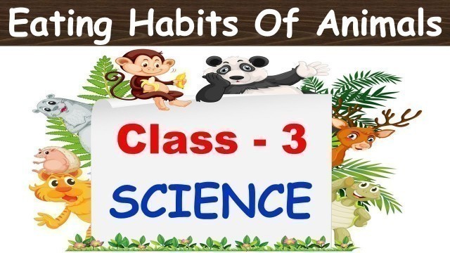 'Eating Habits Of Animals | Class : 3 CHAPTER 1| Science | CBSE | Herbivores, Carnivores, Omnivores|'