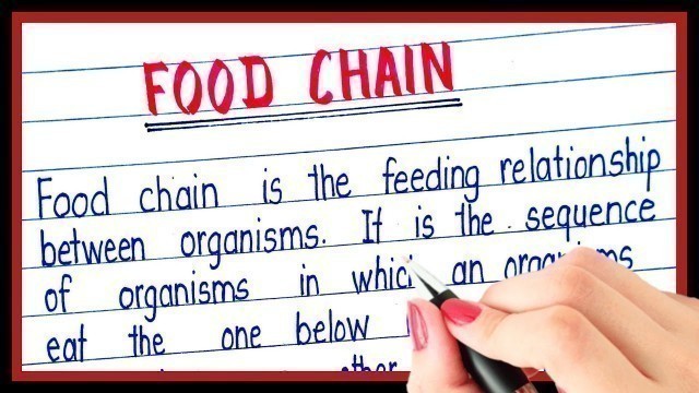 'What is food chain in english'