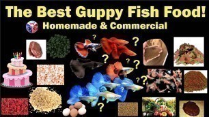 'The Best Homemade & Commercial Guppy Fish Food'