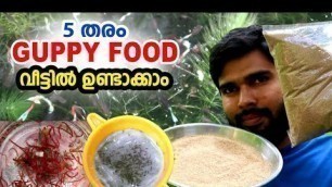 'Guppy food making idea തീറ്റ വാങ്ങാൻ ഇനി പണം ചെലവാക്കണോ ? My farming EP370'