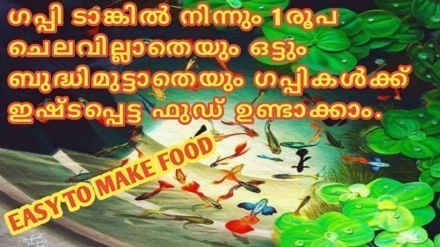 'Free Guppy food || Best food for Guppies || esay to make home ||super guppy feed ||'