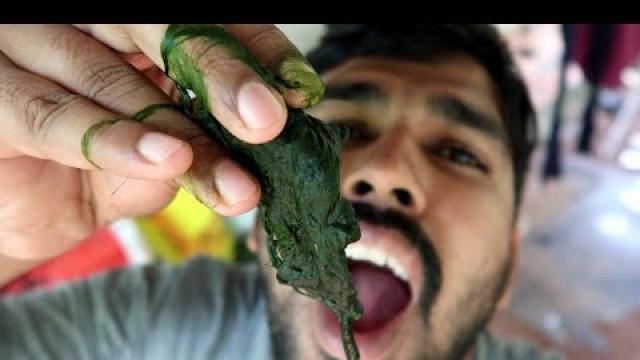 'ഇതുണ്ടെങ്കിൽ പിന്നെന്തിനാ വേറെ തീറ്റ  Low cost guppy food | My Farming EP321'