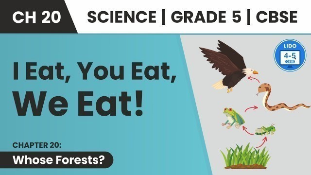 'Food Chain | Whose Forests?  | Class 5 Science Chapter 20'