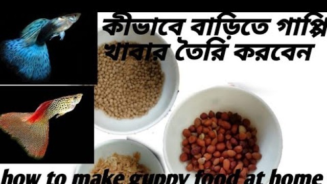 'কিভাবে বাড়িতে গাপ্পি মাছের খাবার তৈরি করবেন,how to make guppy fish food at home, #Eshan_aquarist'