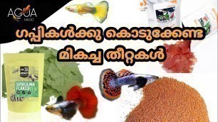 'Guppy fry food malayalam | guppy fry fast growth food | best food for guppy | AQUA MAGIC | EP#42'