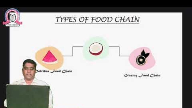 'Food Chain & Food Web| Environmental Studies| FYBCOM - sem 1 | SST College'