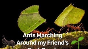 'Ants Marching Around my Friend’s Back Porch'