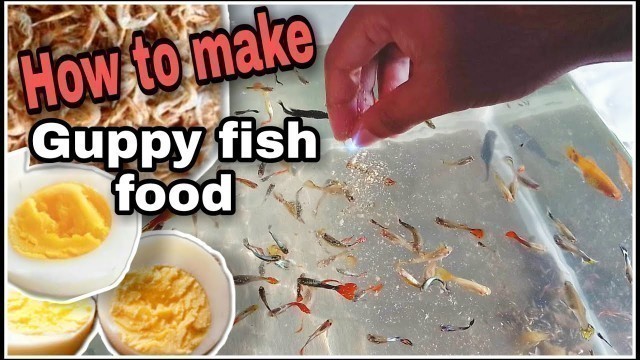 'ঘরে বসেই গাপ্পি মাছের পুষ্টিকর খাবার তৈরি। Home made guppy fish food.'