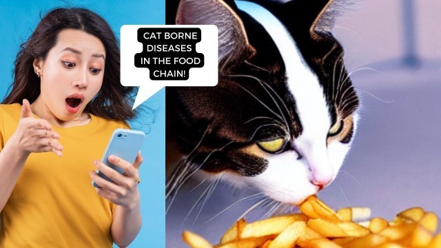 'Animal Diseases in the Food Chain'