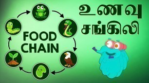 'உணவு சங்கிலி | What is a Food Chain | Dr.Binocs Tamil | Best Learning Videos For Kids'