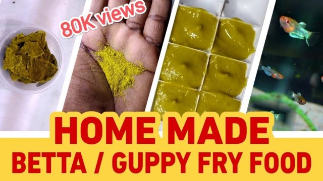 'Homemade Food For Betta & Guppy Fry | English Subtitles | Bubbles Aqua Coimbatore'