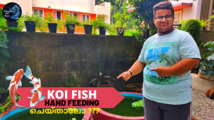 'Koi Carp Fish Hand Feeding ചെയ്‌താലോ ???|Guppy Kid Malayalam| Guppy Farming Updates|New Fish'