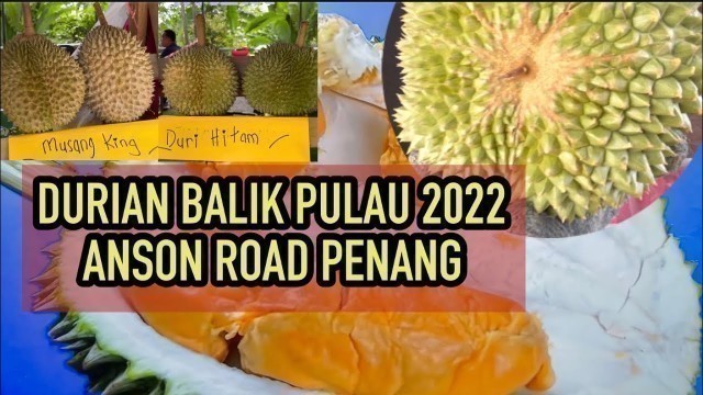 'King Street Food || Durian Balik Pulau Anson Street Georgetown Penang || Black thorn awai habis..'