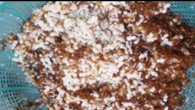 'Ants, Eating Ants, សត្វអង្ក្រង, ស្រមោច'