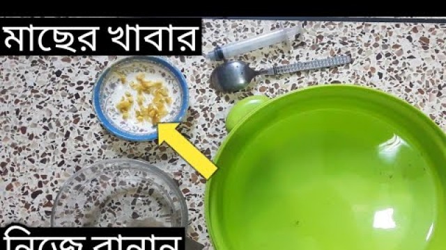 'গাপ্পি মাছের বাচ্চার খাবার বানানো শিখুন নিজে||Guppy fry food.'