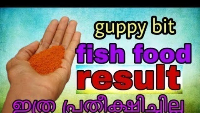 'Guppy bit fish food result in Malayalam'