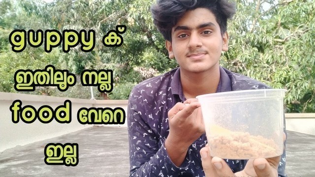 'How to make a super guppy food full malayalam video'