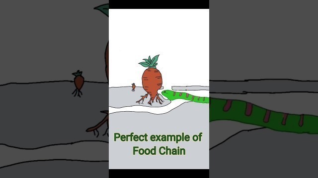 'food chain #animation #story #actionstory #drawing #snake #foidchain #rat #animal #cartoon #life'