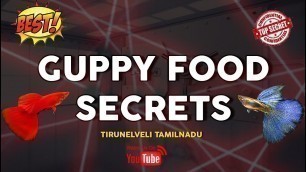 'Top Secret of Guppy food | Fast Growth and color | Best Food for fries | Tirunelveli | Guppy Farm'