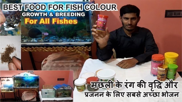 'Best food for fish colour - How to Color Enhancing Fish Food | Color Enhancer'