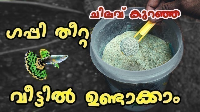 'Home Made Guppy Fish Food in Malayalam മിക്സഡ് ഗപ്പി കൾക്ക് പറ്റിയ ഇതിലും നല്ല തീറ്റ വേറെയില്ല'