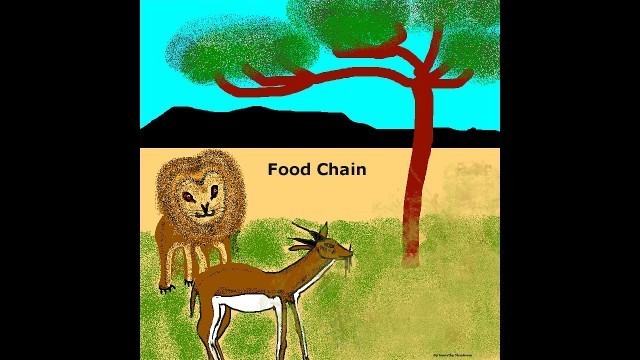 'Food Chain Cycle - Kidz Learn Applications™'