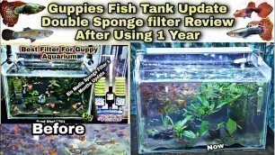 'Guppy Fishtank Update & China Sponge filter 1 year Update \' Is still working?'