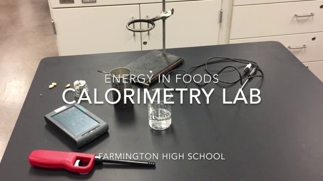 'Energy in Foods Calorimetry Lab'