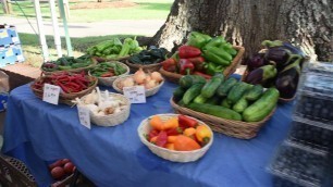 'Food Safety in Farmers Markets: Safety of fresh fruits and vegetables'