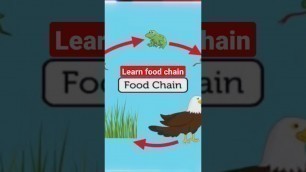 '##food chain 