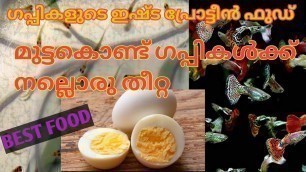 'Best food for fishes (guppy)  || Easy preparation with egg yolk ||Home made guppy fish fry food ||'