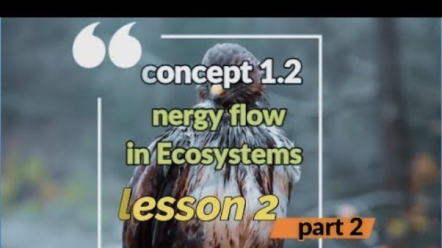 'concept 1.2 lesson 2 (food chain)  part 2 / science grade 5 first term/ علوم  لغات 5 ابتدائي'