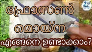 'Frozen moina _ Live fish food _ best guppy, betta food _ moina malayalam/മൊയ്‌ന ഐസാക്കി സൂക്ഷിക്കാം.'