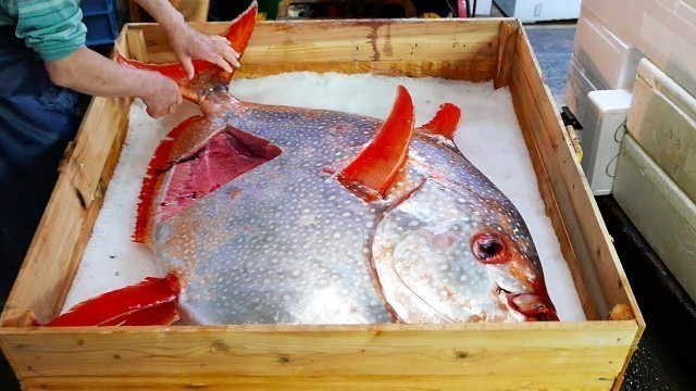 'Japanese Street Food - GIANT SUNFISH Mola Mola Tokyo Japan'