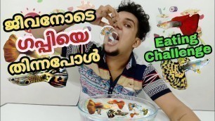 'ജീവനോടെ ഗപ്പിയെ തിന്നാലോ /Live GUPPY Fish Eating / Weird Food Eating Epi:1/MALLU EATING CHALLENGE'