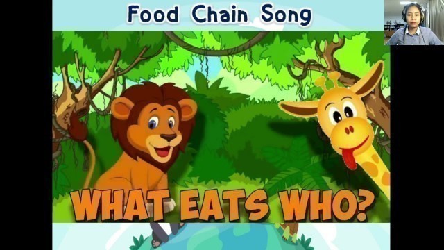 'Animals  food  chain'