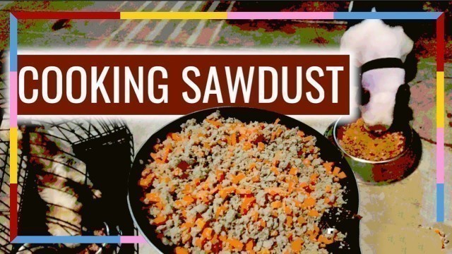 'Cooking SawDust//Feeding My Bully Dog'