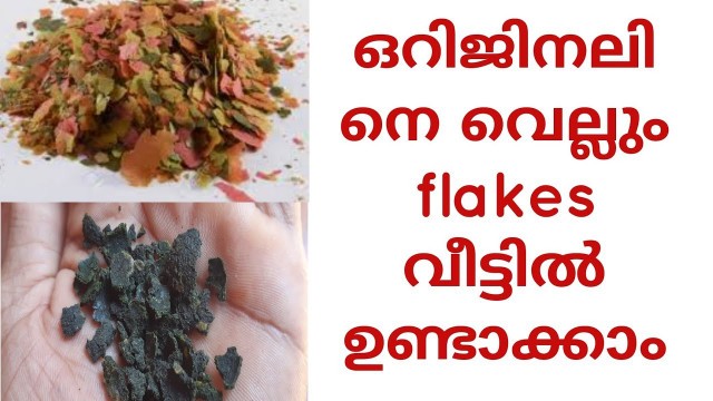 'How to make flakes food in guppy fish |Home made'