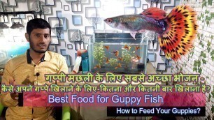 'Best food for Guppy fish - Baby Guppies- For colour & Fast Growth 100% Guarantee'