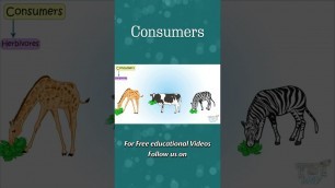 'Consumers | Herbivores, Carnivores, Omnivores | Food Chain | Producers, Consumers | Science #shorts'