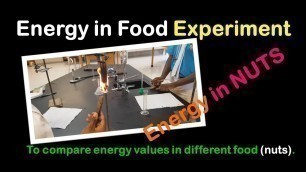 'Energy in Nuts Experiment'